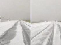Bir anda bastırdı, karayolu beyaza büründü! Sürücüler zor anlar yaşadı