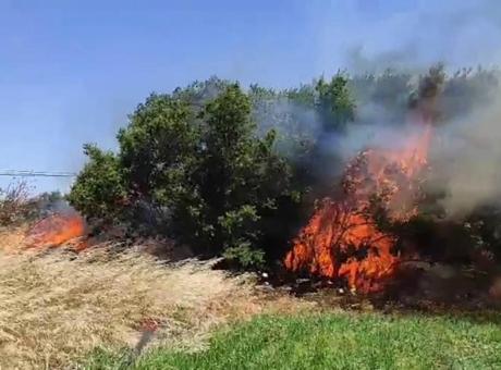 Çanakkale'de korkutan yangın! Alevler rüzgarla büyüdü