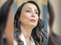 DEM’den ‘çerçeve yasa’ çağrısı