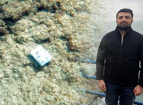 Denizden çıkarıp sosyal medyada paylaştı: Peşini bırakmıyorlar