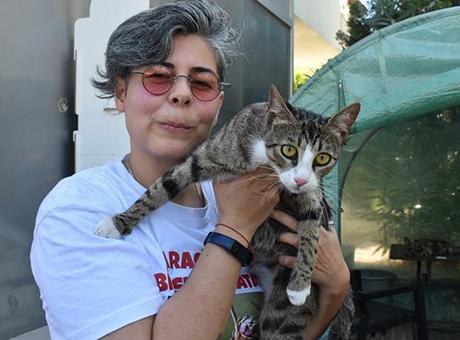 'Doğanın bir mucizesi' İzmir'de gerçek oldu: Erkek kedimiz doğurdu