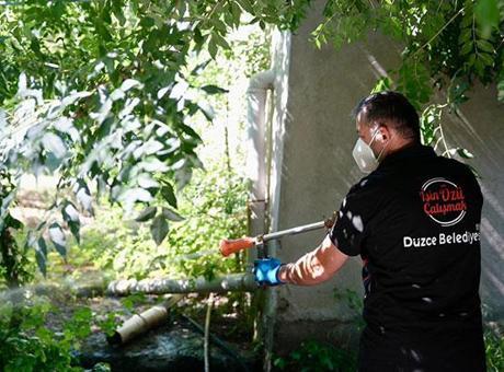 Düzce'de Asya Kaplan sivrisineği uyarısı!