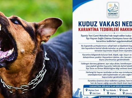 İlk vaka tespit edildi! Bir ilimizde kuduz karantinası; vatandaşlara kritik uyarılar