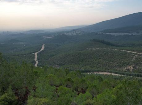 İzmir’de 5 aylık yasak başladı! Ormanlara giriş kapatıldı