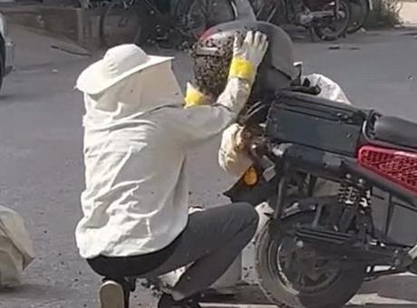 Motosikleti görenler gözlerine inanamadı! Yolun ortasında arıların istilasına uğradı