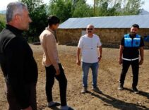 Önce tilkiye sonra koyunlara saldırdı! Van’da bir mahallede kuduz karantinası