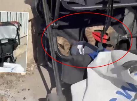Şanlıurfa'da ağaçtan bebek arabasına düşen yılan panik yarattı