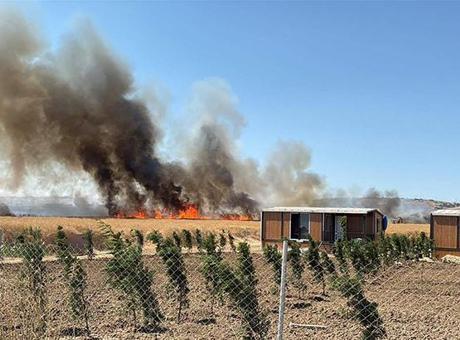 Tekirdağ'da tarlada çıkan yangın baraka ve konteynerlere sıçradı