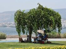 Uzmanlardan korkutan yaz uyarısı! Temmuzdan sonra hiç görülmemiş sıcaklıklar kapıda