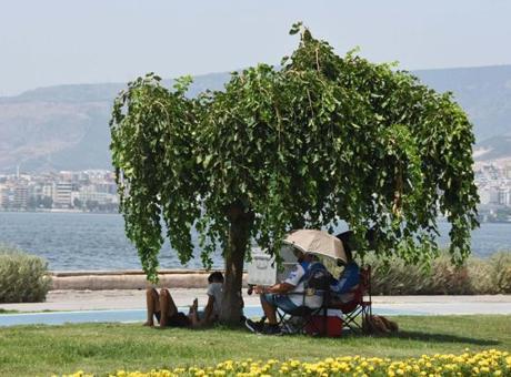 Uzmanlardan korkutan yaz uyarısı! Temmuzdan sonra hiç görülmemiş sıcaklıklar kapıda