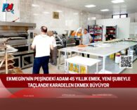 Yeşil Arka Plan Üzerine Sade Doğa Konulu Fotoğraf Kolajı (1)