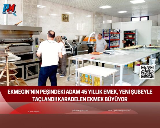 Yeşil Arka Plan Üzerine Sade Doğa Konulu Fotoğraf Kolajı (1)