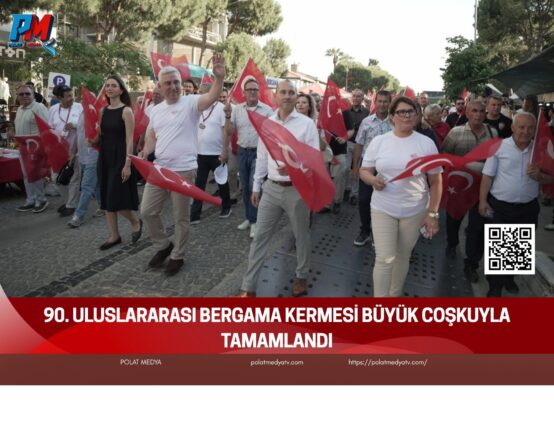 Yeşil Arka Plan Üzerine Sade Doğa Konulu Fotoğraf Kolajı