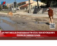 Yeşil Arka Plan Üzerine Sade Doğa Konulu Fotoğraf Kolajı
