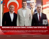 Yeşil Arka Plan Üzerine Sade Doğa Konulu Fotoğraf Kolajı