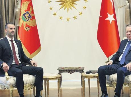 Avrupa sütunu güçlenmeli