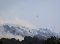 Balıkesir Altıeylül'de orman yangını