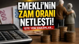 emekli-maasi