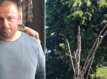 Rize'de budamaya çıktığı ağaçta akıma kapılıp kişi öldü