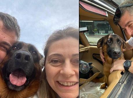 'Santos' için 100 bin lira ödül: Aramadığımız, sormadığımız yer kalmadı