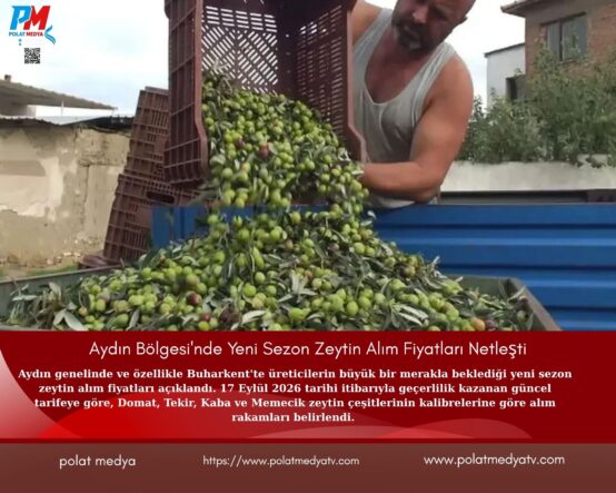 Yeşil Arka Plan Üzerine Sade Doğa Konulu Fotoğraf Kolajı