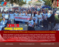 Yeşil Arka Plan Üzerine Sade Doğa Konulu Fotoğraf Kolajı