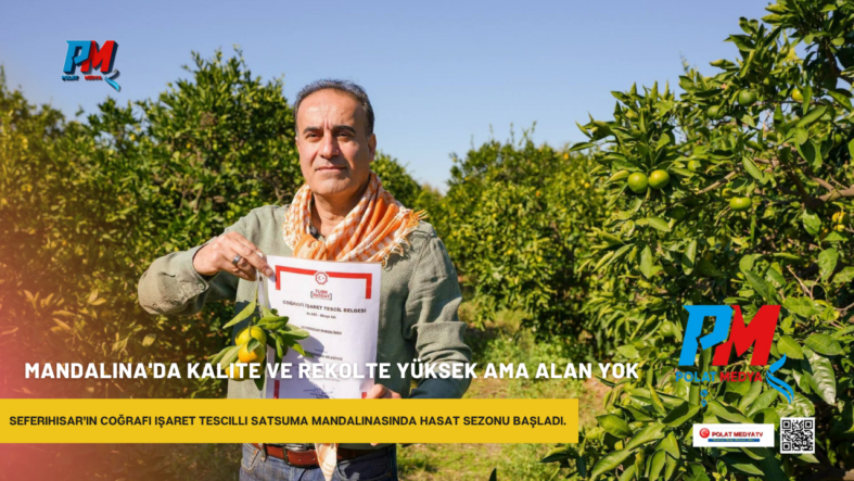 Mandalina’da kalite ve rekolte yüksek ama alan yok