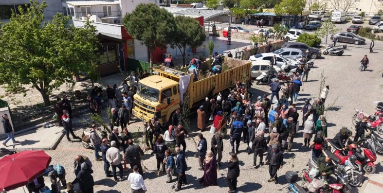 bergama-tarim-destek-fidan-asilama3-scaled